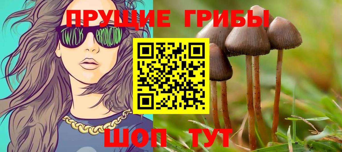 Псилоцибиновые грибы Magic Shrooms Кувандык